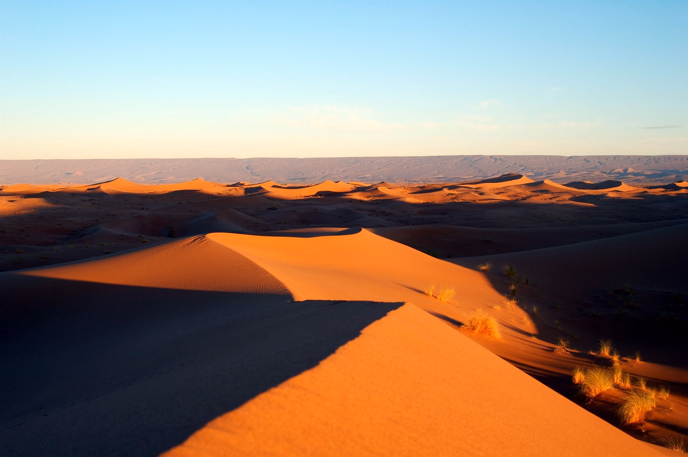 Low sun raking across the dunes of Erg Chigaga in the Moroccan Sahara