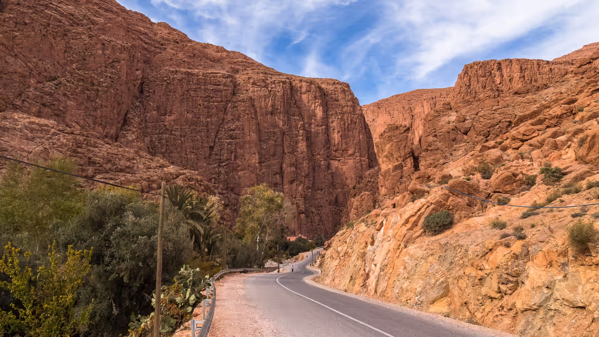 Road running through palm groves towards the entrance of the Todra gorge